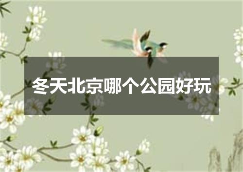 冬天北京哪个公园好玩