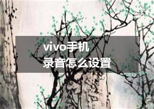 vivo手机录音怎么设置