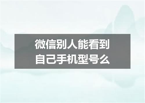 微信别人能看到自己手机型号么