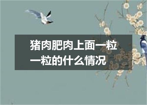 猪肉肥肉上面一粒一粒的什么情况