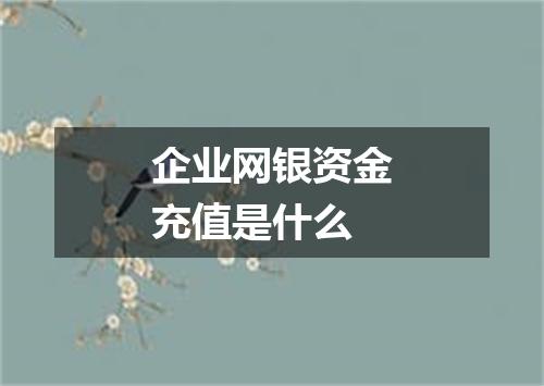 企业网银资金充值是什么