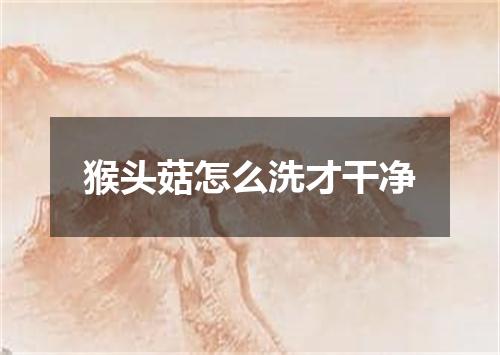 猴头菇怎么洗才干净