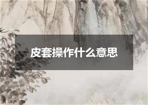 皮套操作什么意思