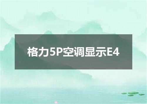 格力5P空调显示E4