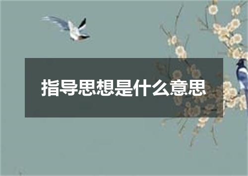 指导思想是什么意思