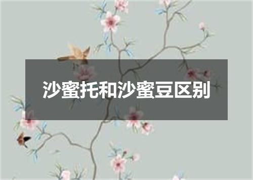 沙蜜托和沙蜜豆区别