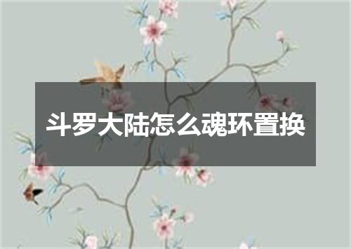 斗罗大陆怎么魂环置换