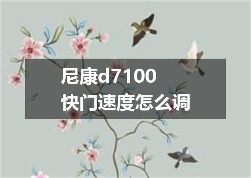 尼康d7100快门速度怎么调