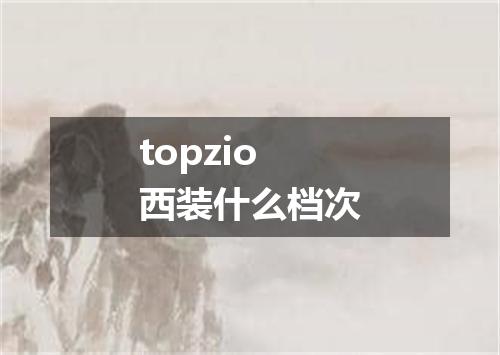 topzio西装什么档次