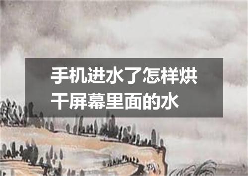 手机进水了怎样烘干屏幕里面的水