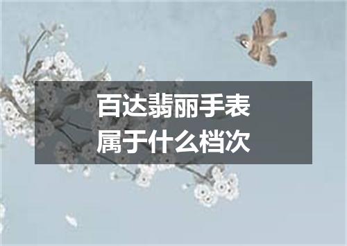 百达翡丽手表属于什么档次