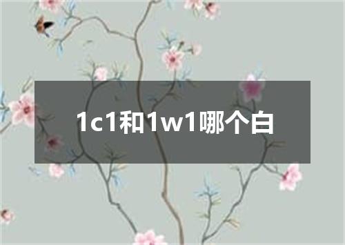 1c1和1w1哪个白