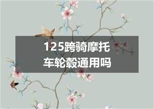 125跨骑摩托车轮毂通用吗