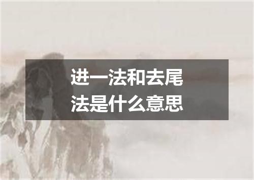 进一法和去尾法是什么意思