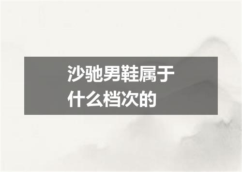 沙驰男鞋属于什么档次的