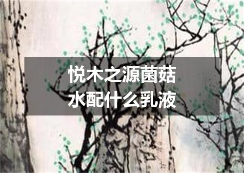 悦木之源菌菇水配什么乳液