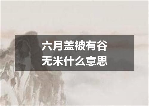 六月盖被有谷无米什么意思