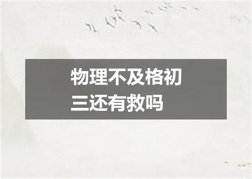 物理不及格初三还有救吗
