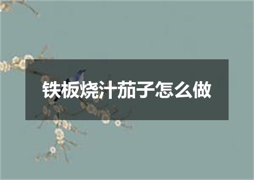 铁板烧汁茄子怎么做