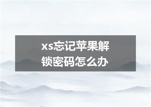 xs忘记苹果解锁密码怎么办
