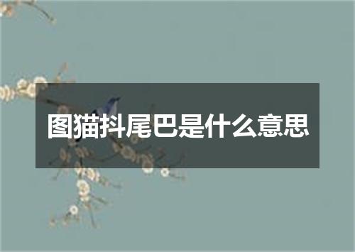 图猫抖尾巴是什么意思