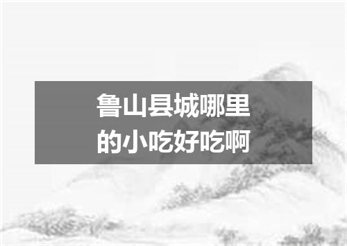 鲁山县城哪里的小吃好吃啊