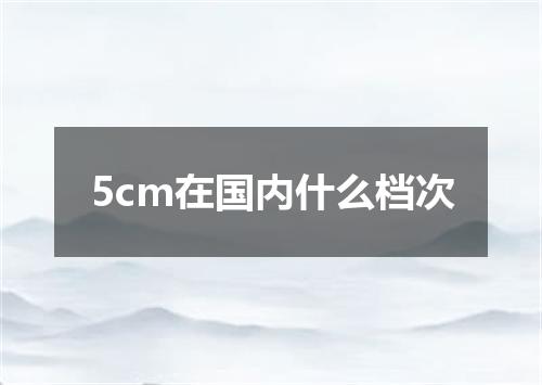 5cm在国内什么档次