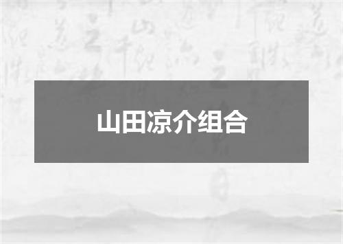 山田凉介组合