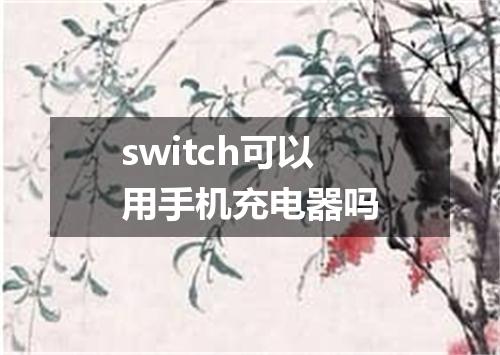 switch可以用手机充电器吗
