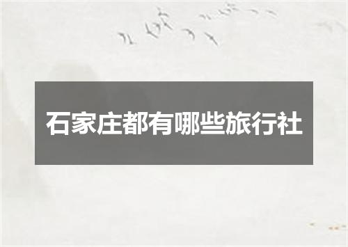石家庄都有哪些旅行社