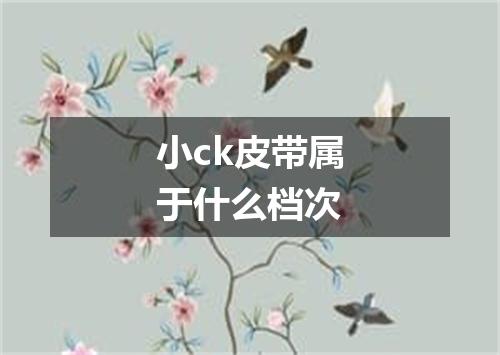 小ck皮带属于什么档次