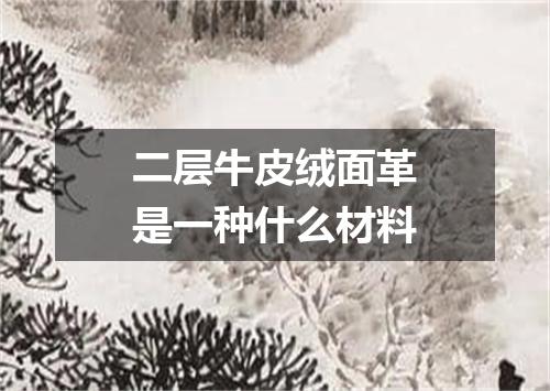 二层牛皮绒面革是一种什么材料