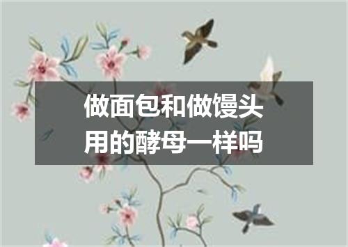 做面包和做馒头用的酵母一样吗