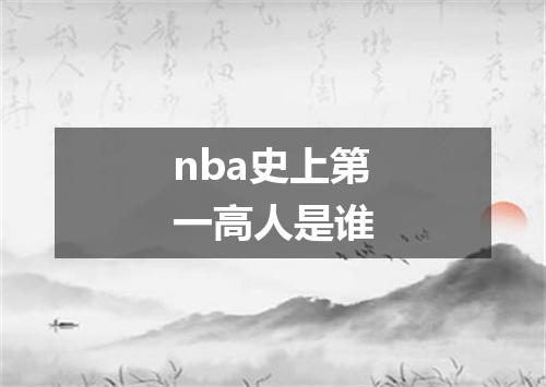 nba史上第一高人是谁