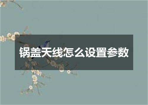 锅盖天线怎么设置参数