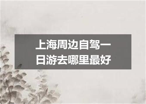 上海周边自驾一日游去哪里最好