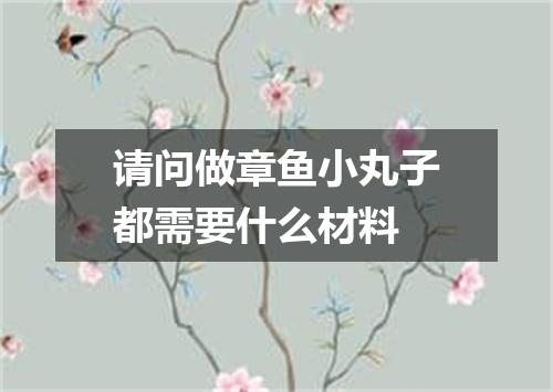请问做章鱼小丸子都需要什么材料