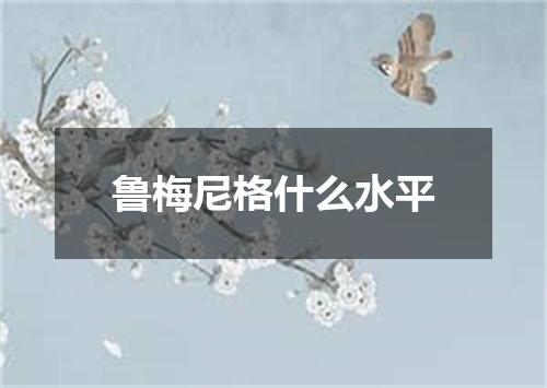 鲁梅尼格什么水平