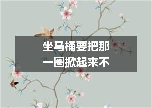 坐马桶要把那一圈掀起来不