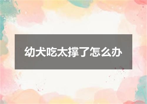 幼犬吃太撑了怎么办