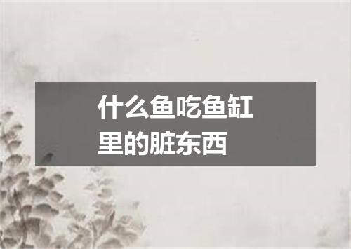 什么鱼吃鱼缸里的脏东西