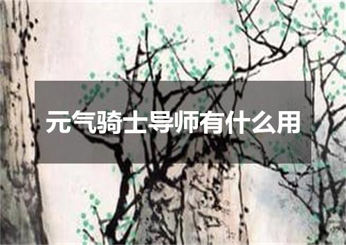 元气骑士导师有什么用