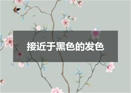 接近于黑色的发色