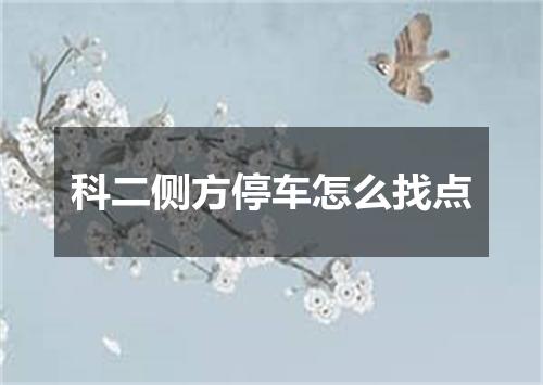 科二侧方停车怎么找点