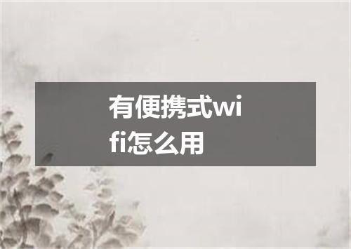 有便携式wifi怎么用