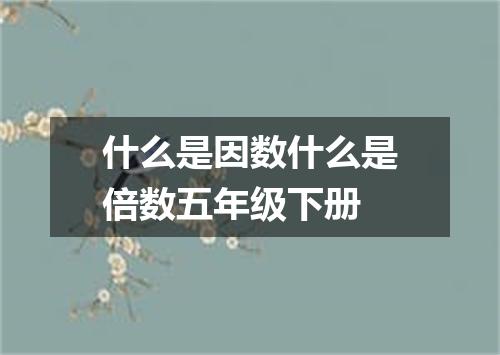 什么是因数什么是倍数五年级下册