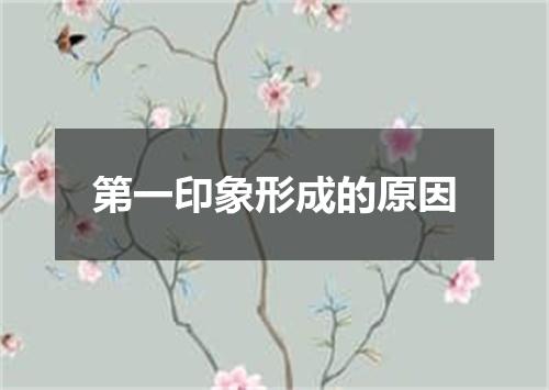 第一印象形成的原因