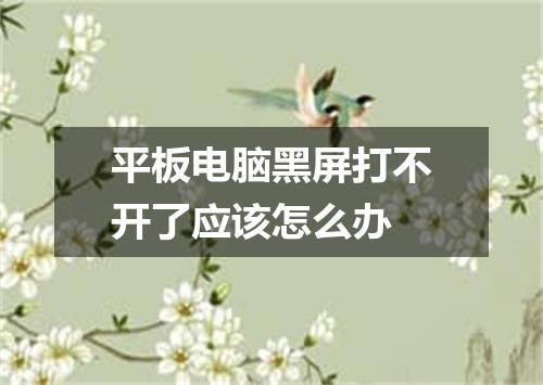 平板电脑黑屏打不开了应该怎么办