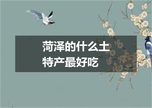 菏泽的什么土特产最好吃