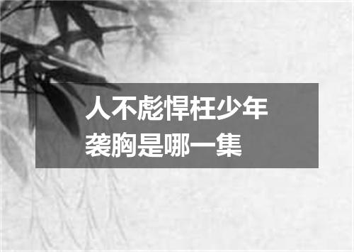 人不彪悍枉少年袭胸是哪一集